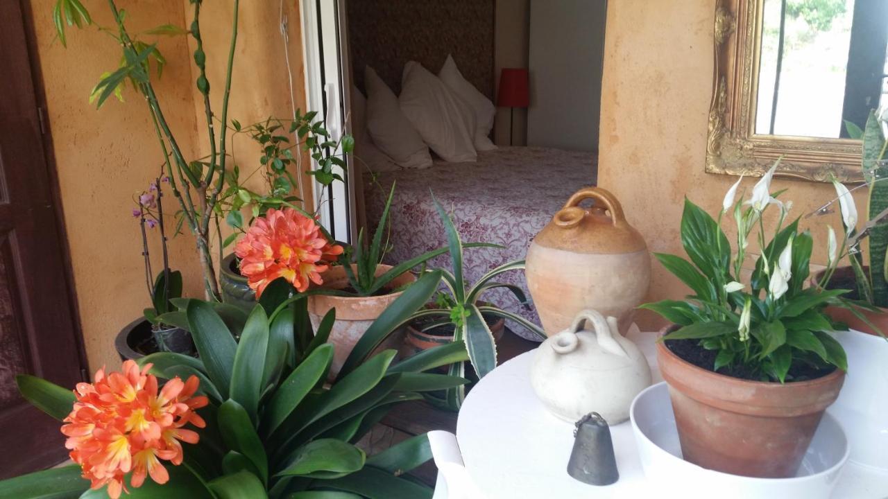 La Maison D' Elizabeth Lagrasse Luaran gambar